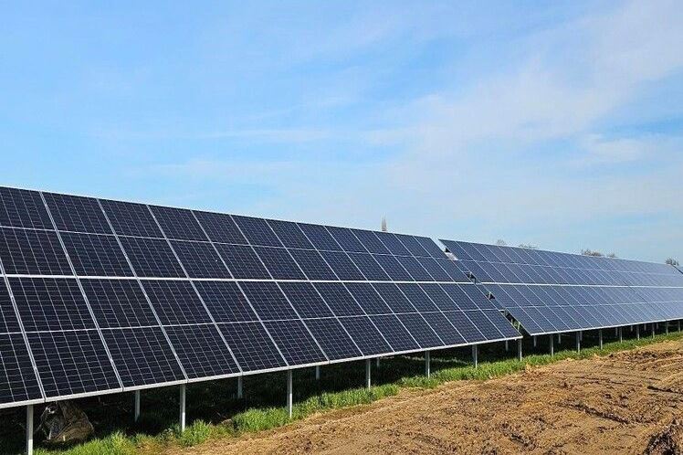 New Solar Farm Helps Multiplex To Reach Net Zero Ambitions