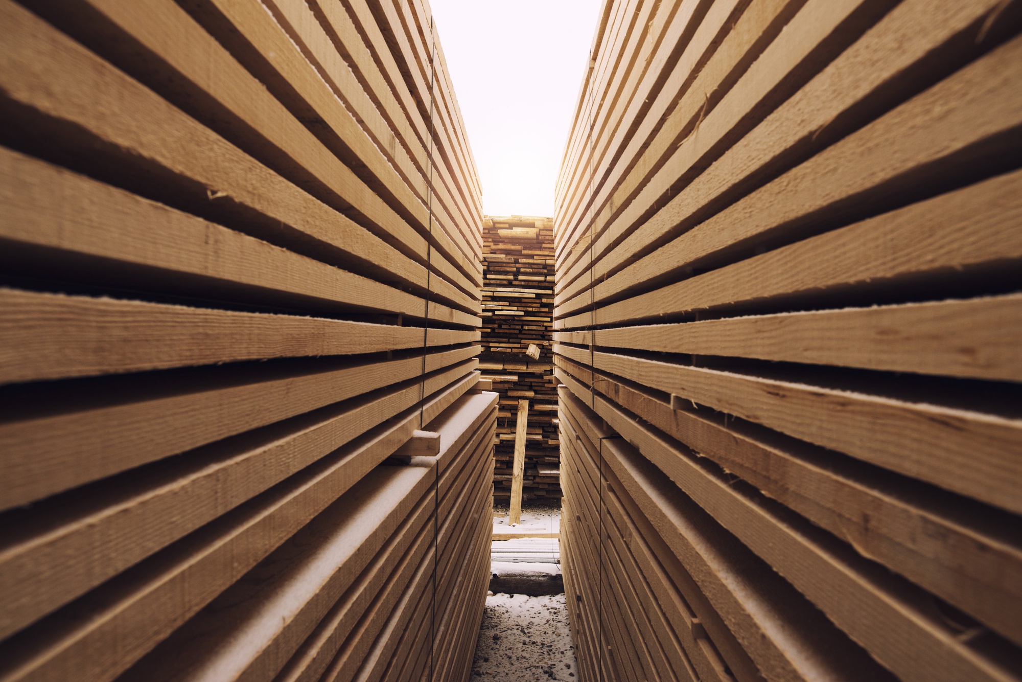 Timber imports
